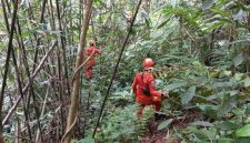 Ilustrasi pencarian orang hilang di hutan. (Foto: Istimewa).