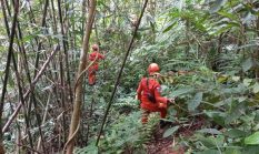 Pria 61 Tahun Hilang di Ladang Harau Sumbar