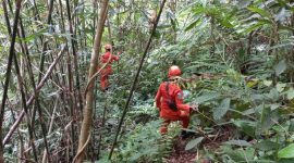 Ilustrasi pencarian orang hilang di hutan. (Foto: Istimewa).