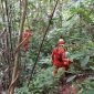 Ilustrasi pencarian orang hilang di hutan. (Foto: Istimewa).