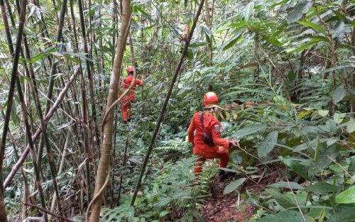 Ilustrasi pencarian orang hilang di hutan. (Foto: Istimewa).