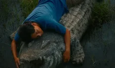 Crocodile Tears Tayang Pekan Ini Setelah Perjalanan Panjang