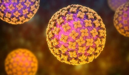 Ilustrasi bentuk virus Hantavirus penyebab penyakit HFRS dan HPS.