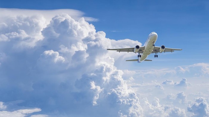 Ilustrasi pesawat (Foto: Getty Images/iStockphoto/npstockphoto)