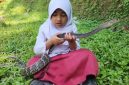 Caca, siswi SD asal Cianjur, terlihat santai bermain dengan ular King Koros peliharaannya yang tidak berbisa.