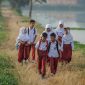 Ilutrasi anak SD ( Foto Pexels )