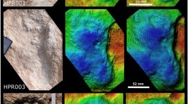 Foto: Klint Janulis, University of Oxford/Rekaman digital jejak kaki manusia berusia 115.000 tahun ditemukan di Semenanjung Arab.

