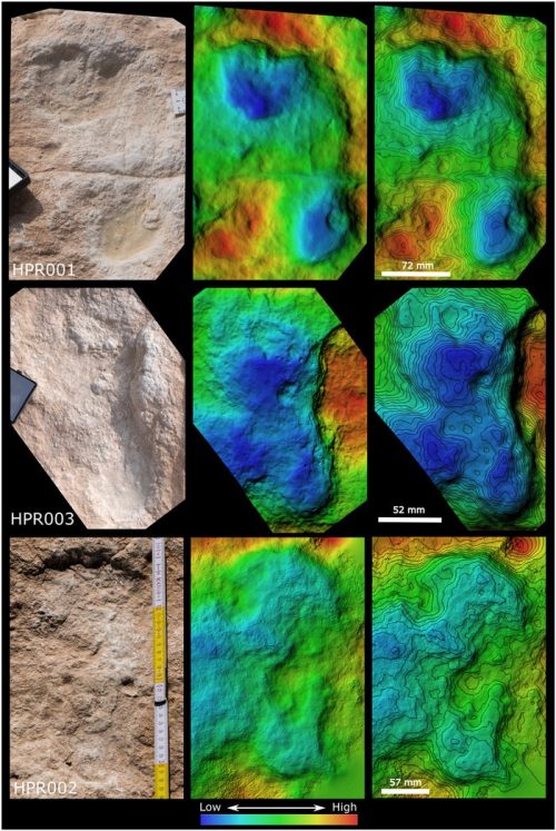 Foto: Klint Janulis, University of Oxford/Rekaman digital jejak kaki manusia berusia 115.000 tahun ditemukan di Semenanjung Arab.

