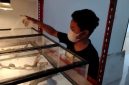 Muhammad Rizky menunjukkan salah satu kadal hasil budidayanya yang kini menjadi sumber penghasilan.