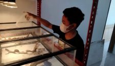 Muhammad Rizky menunjukkan salah satu kadal hasil budidayanya yang kini menjadi sumber penghasilan.
