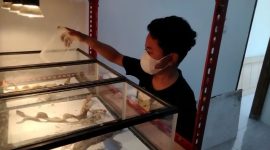Muhammad Rizky menunjukkan salah satu kadal hasil budidayanya yang kini menjadi sumber penghasilan.