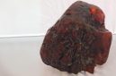 Bongkahan amber seberat 3,5 kilogram ini tercatat sebagai potongan rumanit terbesar yang pernah ditemukan. (Dok. Museum Kabupaten Buzău)