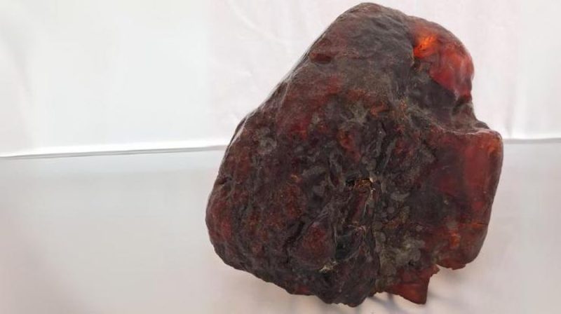 Bongkahan amber seberat 3,5 kilogram ini tercatat sebagai potongan rumanit terbesar yang pernah ditemukan. (Dok. Museum Kabupaten Buzău)