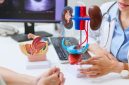 Seorang dokter menunjukkan model anatomi ginjal kepada pasien saat konsultasi untuk menjelaskan fungsi dan risiko penyakit ginjal.(Foto : Getty Images/PonyWang)
