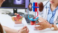 Seorang dokter menunjukkan model anatomi ginjal kepada pasien saat konsultasi untuk menjelaskan fungsi dan risiko penyakit ginjal.(Foto : Getty Images/PonyWang)