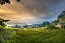 Rumah di lahan bekas sawah dengan tanah lembek yang memerlukan pondasi kuat. ( Foto Pexsels)