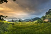 Rumah di lahan bekas sawah dengan tanah lembek yang memerlukan pondasi kuat. ( Foto Pexsels)