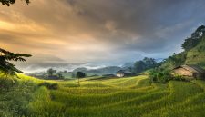 Rumah di lahan bekas sawah dengan tanah lembek yang memerlukan pondasi kuat. ( Foto Pexsels)