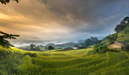 Rumah di lahan bekas sawah dengan tanah lembek yang membutuhkan pondasi kuat.