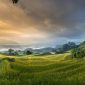 Rumah di lahan bekas sawah dengan tanah lembek yang memerlukan pondasi kuat. ( Foto Pexsels)
