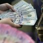 Layar menampilkan pergerakan nilai tukar rupiah terhadap dolar AS yang mengalami pelemahan di tengah penguatan dolar global.(Foto: CNN Indonesia/Adi Ibrahim)