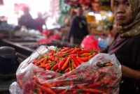 Pedagang menata cabai dan bahan pangan di pasar tradisional seiring kenaikan harga pangan yang memicu inflasi.(Foto : Liputan6.com/Angga Yuniar)