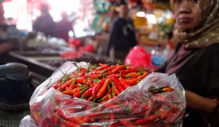 Harga cabai, beras, dan daging di pasar tradisional Indonesia naik 2026