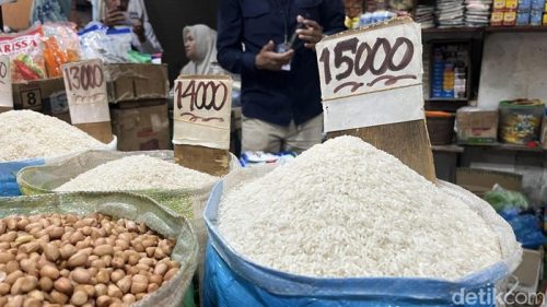 Petani memanen padi di tengah kenaikan harga gabah yang mendorong harga beras tetap tinggi di pasar.(Foto: Kartika Sari/detikSumut)