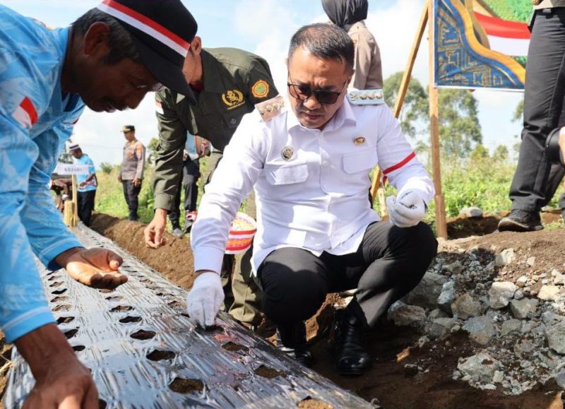 Wako Alfin saat mengikuti penanaman bawang putih serentak di Kayu Aro.
