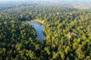 Foto: ANTARA FOTO/Angga Palguna/Kawasan hutan lindung Sungai Wain di Balikpapan, Kalimantan Timur