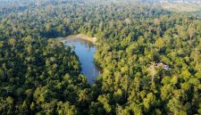 Foto: ANTARA FOTO/Angga Palguna/Kawasan hutan lindung Sungai Wain di Balikpapan, Kalimantan Timur
