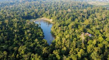 Foto: ANTARA FOTO/Angga Palguna/Kawasan hutan lindung Sungai Wain di Balikpapan, Kalimantan Timur