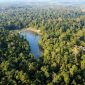 Foto: ANTARA FOTO/Angga Palguna/Kawasan hutan lindung Sungai Wain di Balikpapan, Kalimantan Timur