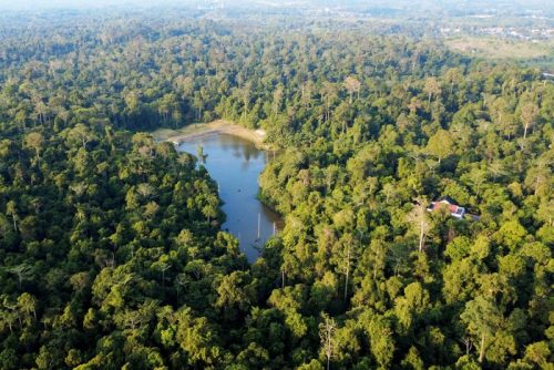 Foto: ANTARA FOTO/Angga Palguna/Kawasan hutan lindung Sungai Wain di Balikpapan, Kalimantan Timur