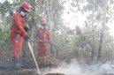 Petugas memadamkan api karhutla (Foto: Dok. Kementerian Kehutanan)