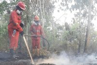 Petugas memadamkan api karhutla (Foto: Dok. Kementerian Kehutanan)
