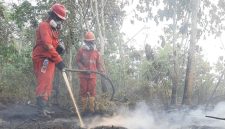 Petugas memadamkan api karhutla (Foto: Dok. Kementerian Kehutanan)
