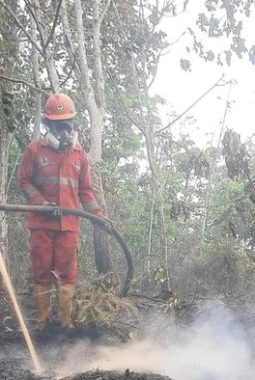 Polusi Udara Kalteng Picu Puluhan Ribu Kasus ISPA