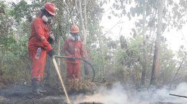 Petugas memadamkan api karhutla (Foto: Dok. Kementerian Kehutanan)