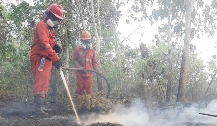 Petugas memadamkan kebakaran hutan dan lahan di Kalimantan Tengah.