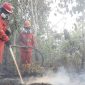 Petugas memadamkan api karhutla (Foto: Dok. Kementerian Kehutanan)