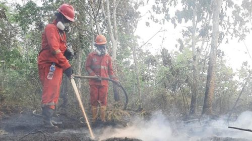 Petugas memadamkan api karhutla (Foto: Dok. Kementerian Kehutanan)