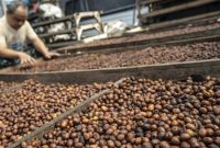 Aktivitas pengolahan kopi dan teh Indonesia yang semakin diminati pasar global.(Foto: ANTARA FOTO/Aprillio Akbar)