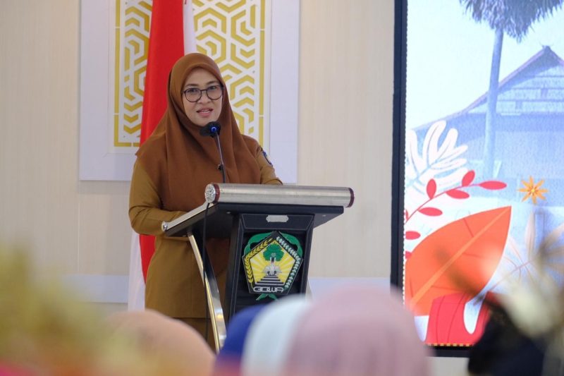Ilustrasi Bupati Gowa Sitti Husniah Talenrang (Foto Pexels)