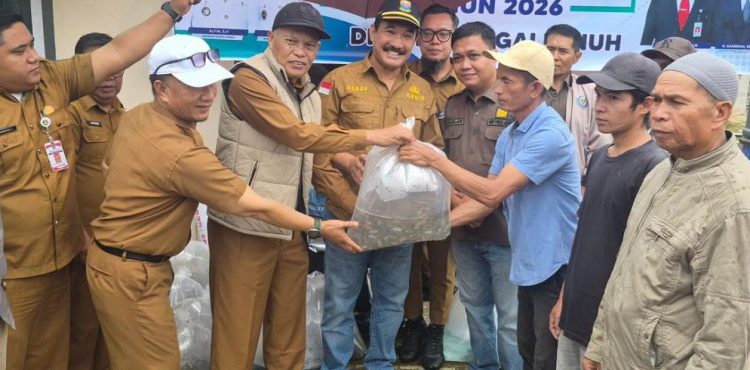 headline-foto