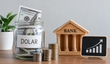 Ilustrasi tabungan dolar AS dan simpanan valuta asing masyarakat di tengah pelemahan rupiah.