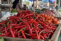 Ilustrasi cabai merah yang dijual di pasar Tanjung Bajure ( Foto Inbrita)