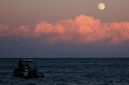 Ilustrasi Harvest Moon (Foto: REUTERS/Darrin Zammit Lupi)