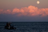 Ilustrasi Harvest Moon (Foto: REUTERS/Darrin Zammit Lupi)