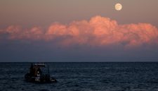 Ilustrasi Harvest Moon (Foto: REUTERS/Darrin Zammit Lupi)